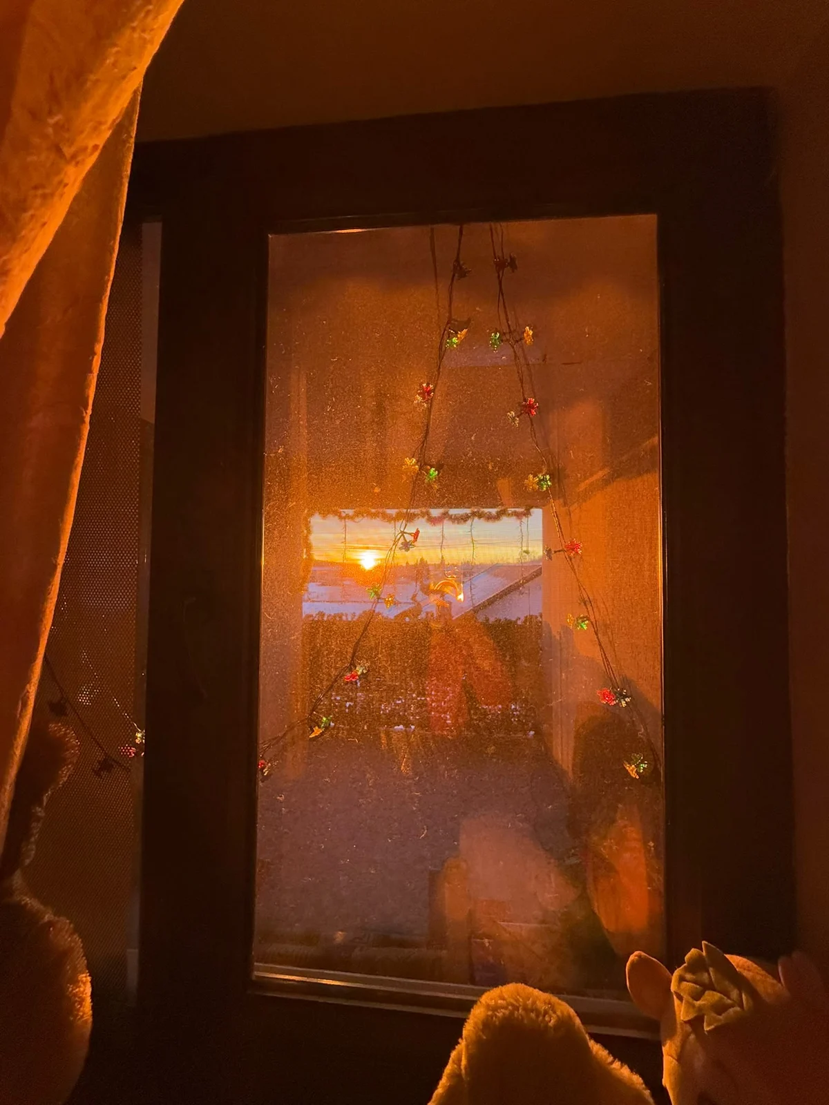 Winter light through the window