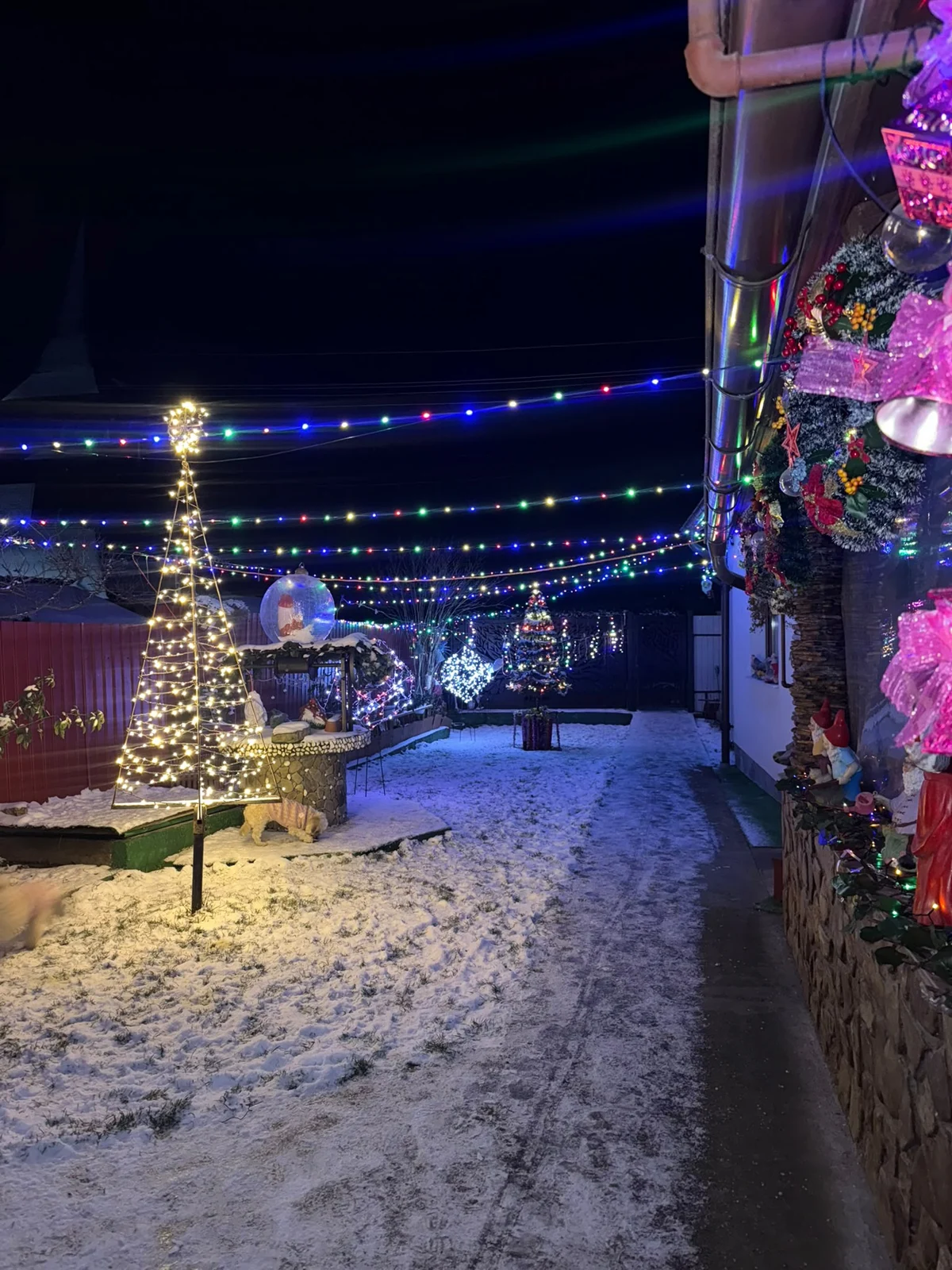 Winter lights in the snow