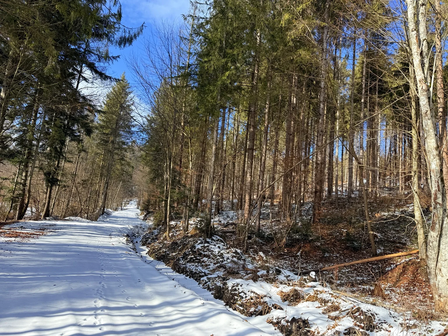 Dealuri înzăpezite în apropiere de casă